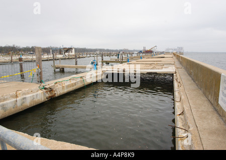 Große Betonplatten fehlen am Dock, nachdem Hurrikan Katrina das Fischrestaurant McElroys Harbor House und den kleinen Craft-Yachthafen in Biloxi Mississippi zerstört hat Stockfoto