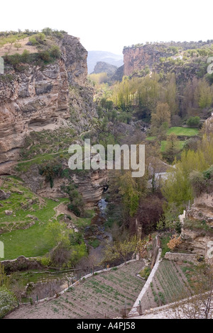 Blick in die Schlucht bei Alhama de Granada Spanien Stockfoto