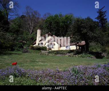 Ein Reetdachhaus in Somerset Dorf von Selworthy Stockfoto