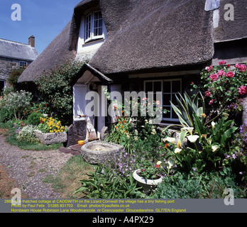 Ein Reetdachhaus in der kornischen Fischen Dorf Cadgwith Stockfoto