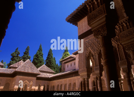 Innenhof des Löwen Patio de Los Leones an der Alhambra Granada Granada Provinz Spanien Europa Stockfoto