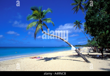 Les Salines Strand in der Nähe von Sainte Anne Martinique Stockfoto