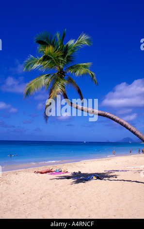 Les Salines Strand in der Nähe von Sainte Anne Martinique Stockfoto