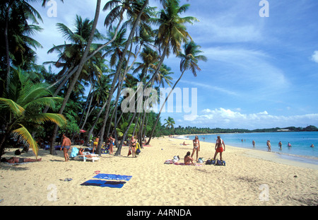 Les Salines Strand in der Nähe von Sainte Anne Martinique Stockfoto