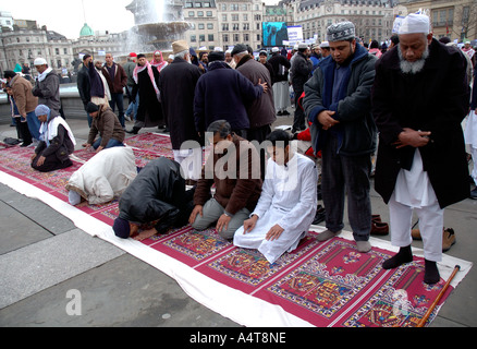 Muslime beten in Trafalgar Square während Demonstration von Muslimen protestieren gegen Islamfeindlichkeit und Volksverhetzung 20 FEB Stockfoto