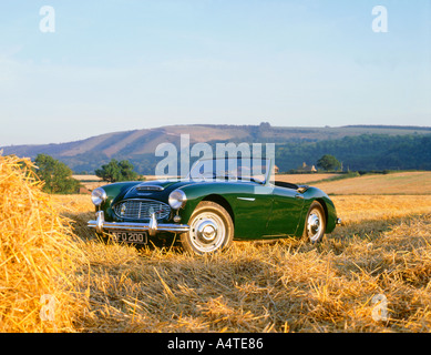 1961 Austin Healey 3000 mk1 Stockfoto