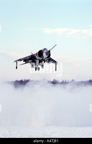 RAF Harrier im Schnee Tarnung senkrecht startenden Stockfoto