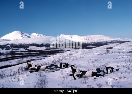 RAF Harriers im Schnee Tarnung Stockfoto