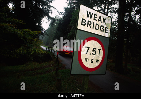 Schwache Brücke im New Forest im Hampshire county England UK Stockfoto