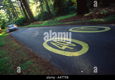 New Forest in der Grafschaft Hampshire ist von der Forstverwaltung gepflegt und hat eine 40 km/h Höchstgeschwindigkeit England UK Stockfoto