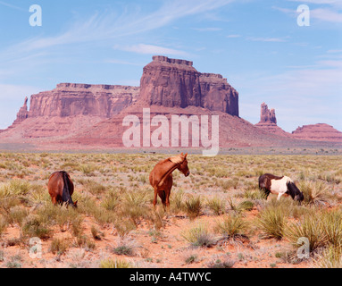USA ARIZONA MONUMENT VALLEY Stockfoto