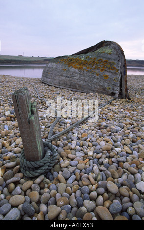 Alten Holzboot, gebunden an einen Pfosten auf Chesil Beach in Dorset county England UK dieses Foto entstand im Dezember Stockfoto