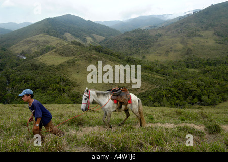 Pony junge arbeitet in der Serra da Bocaina Nationalpark, Brasilien Stockfoto