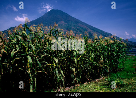 Der maisernte, Stratovulkan, ruhende Vulkan, Vulkan San Pedro, Santiago Atitlan, Tzutujil Maya, Solola Department, Guatemala, Mittelamerika Stockfoto