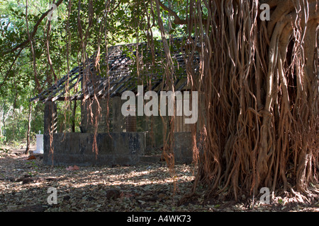 Trog alten weinenden Strukturansicht auf verlassenen dachlose indischen Haus, Goa, Indien Stockfoto