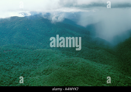 Tropischer Regensturm zeigt Regenschacht über dem Regenwald in den Guyana Highlands im Bundesstaat Amazonas, Venezuela Stockfoto