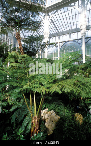 Gewächshaus, Wilhelma Zoologischer und Botanischer Garten, Stuttgart