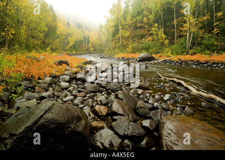 Brule Fluss im Herbst an Richter C R Magney State Park-Minnesota Stockfoto