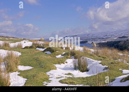 Stand Holz Reservoir Rishworth Halifax UK Stockfoto