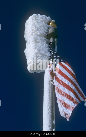 Ein Eisblock wächst um die Flagge der USA auf eine Fahnenstange in Niagara Falls Stockfoto