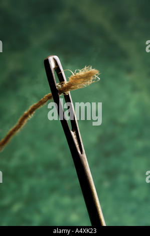 Faden durch ein Nadelöhr Stockfoto