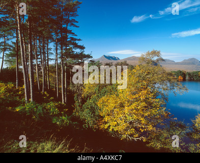 Ben mehr Coigach Fernbereich von Hügeln umrahmt von Stand von Caledonian Kiefern und blau man Wester Ross Schottisches Hochland Stockfoto