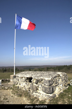 Ruinen des Fort Vaux, Verdun, Lothringen, Frankreich Stockfoto