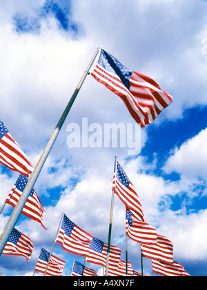 Gruppe von amerikanischen Fahnen Fahnenmasten Schlag im Wind Sharon Pennsylvania USA Stockfoto