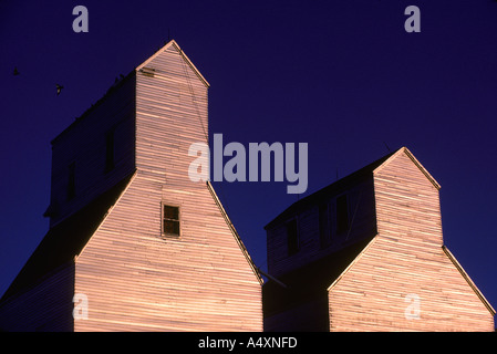 Zwei Getreidesilos in Dämmerung Licht Miles City, Montana USA Stockfoto