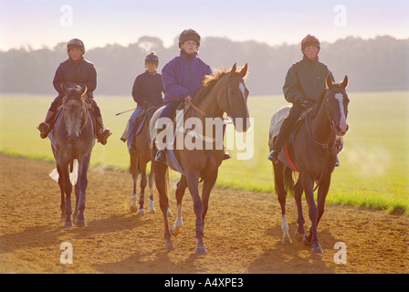 Pferde training auf die Galoppaden in Newmarket in Suffolk England UK Stockfoto