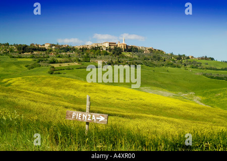 Pienza gesehen über Feld des wilden Filowers in Toskana-Italien-Europa Stockfoto