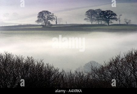 Morgennebel unter Norden Hügel, Dorset Stockfoto