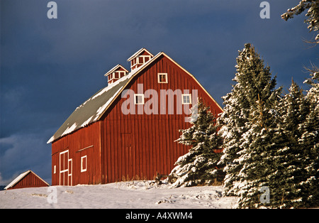 Rote Scheune Stockfoto