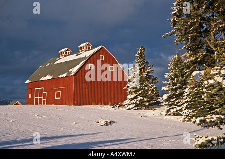 Rote Scheune Stockfoto