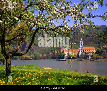 AT - Niederösterreich: Dürnstein und Donau Stockfoto