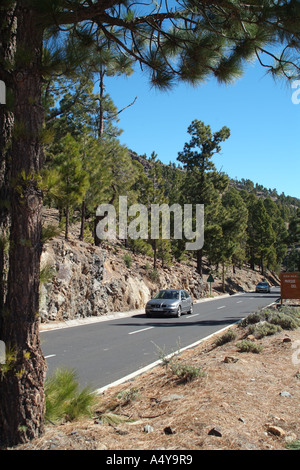 Durch die natürlichen Park von Corona Forstwirtschaft Land Autofahren an den Hängen des Teide Berg Teneriffa Kanaren Spanien Stockfoto