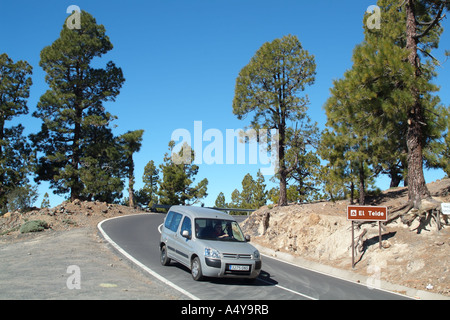 Durch die natürlichen Park von Corona Forstwirtschaft Land Autofahren an den Hängen des Teide Berg Teneriffa Kanaren Spanien Stockfoto