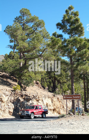 Durch die natürlichen Park von Corona Forstwirtschaft Land Autofahren an den Hängen des Teide Berg Teneriffa Kanaren Spanien Stockfoto