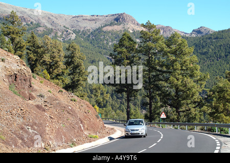 Durch die natürlichen Park von Corona Forstwirtschaft Land Autofahren an den Hängen des Teide Berg Teneriffa Kanaren Spanien Stockfoto