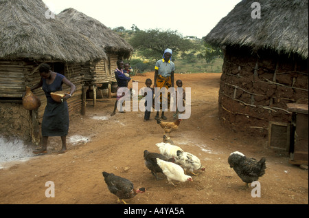 Kamba Frauen und Kinder mit ihren Hühnern außerhalb ihrer Heimstätte in Machakos district Kenia in Ostafrika Stockfoto