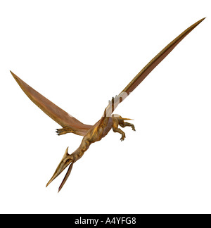 Der Quetzalcoatlus Northropi war ein Flug Dinosaurier mit ca. 12 m Spannweite und lebte in der Zeit der Kreidezeit. Die Stockfoto