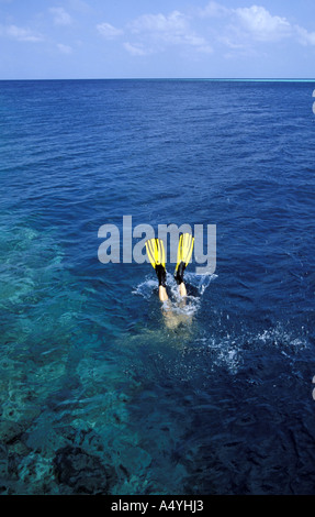 Mann tauchen im Meer Stockfoto