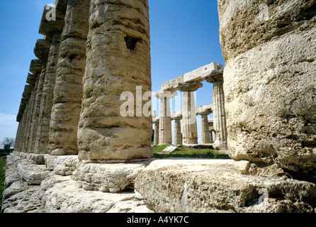 Italien Kampanien Paestum Basilika von Paestum aka der Tempel der Hera Stockfoto