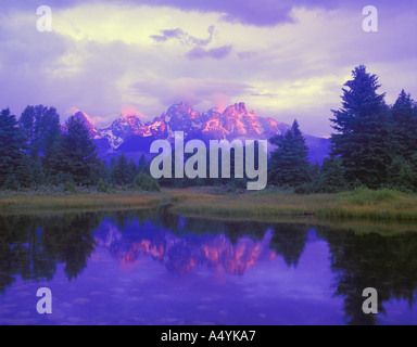 Sonnenaufgang auf die Grand Teton Berge vom Schwabacher Landung Bereich Grand Teton National Park in der Nähe von Jackson Hole Wyoming USA Stockfoto