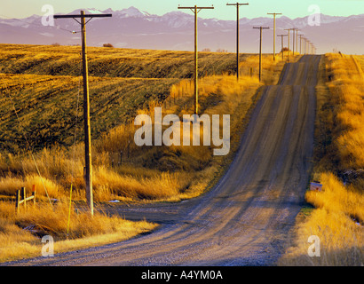 Schotterstraße, gesäumt von Telefon- oder Strommasten durch den abgeernteten Weizenfeldern von Gallatin Valley Montana USA Stockfoto