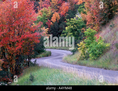 Straße schlängelt sich durch Bergwald im Herbst Farben Wasatch Mountains Utah USA Stockfoto