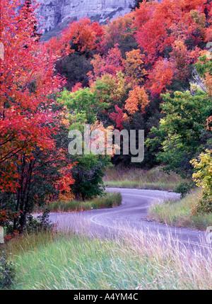 Straße schlängelt sich durch Wald im Herbst Farben Wasatch Mountains Utah USA Stockfoto