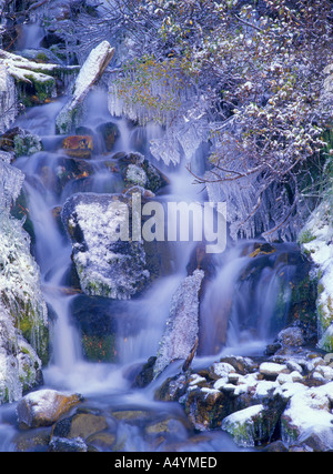 Eis und Eiszapfen umhüllen, Felsen und Vegetation an einem kleinen Bach Wasserfall Frühwinter Banff Nationalpark Alberta Kanada Stockfoto