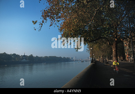 Herbstlicher Blick flussaufwärts von Chelsea Embankment Blick in Richtung Battersea Park und Albert Bridge River Thames Chelsea London UK Stockfoto