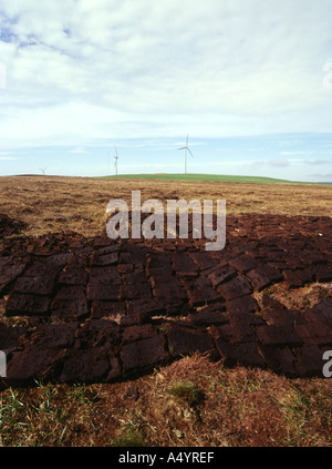 Dh TORF Torf Großbritannien Verbreitung bank Windenergieanlage Burgar Hill Orkney Stockfoto